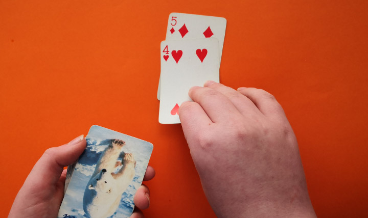 Counting Cards – picture 1