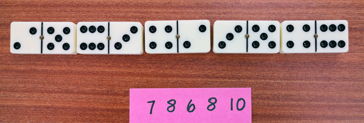 Domino Sum Challenge – picture 1